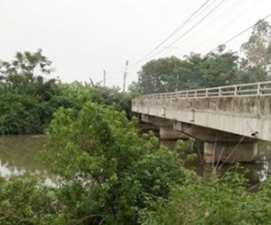 Mới lập gia đình, cô gái trẻ đã nhảy cầu tự tử trong đêm