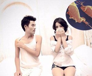Loài ký sinh trùng truyền bệnh tình dục cho hàng trăm triệu người