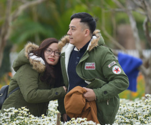 Đổ xô tạo dáng với cúc họa mi trong giá rét