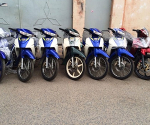 Xe máy SH 30 triệu: Ma trận... 'thanh lý xe tang vật'