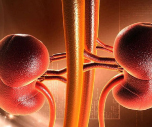 TS Mỹ chỉ rõ 5 bộ phận cơ thể tích tụ nhiều độc nhất: Nên ưu tiên thải độc để phòng bệnh