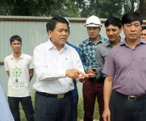 Chủ tịch Hà Nội kiểm tra đột xuất việc chặt hạ cây xanh