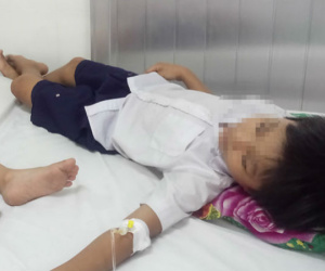 Vụ học sinh uống Milo nhập viện: 2 loại sữa pha với nhau