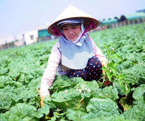 Kỷ lục mới ngành nông nghiệp: Xuất khẩu chạm mốc 33 tỷ USD