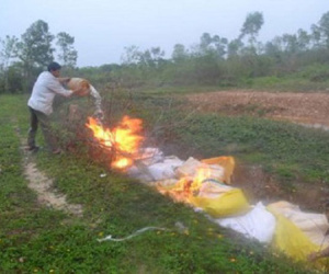Tiêu hủy hơn 1 tấn dăm bông không rõ nguồn gốc