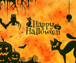 'Troll' người yêu 365 ngày không thương tiếc, ngay cả Halloween cũng không tha!