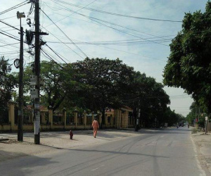 Hải Phòng: Xác minh thông tin người tâm thần tấn công phụ nữ