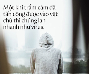 Thư gửi người trầm cảm: 9 từ duy nhất để bạn vượt thoát và sống lại