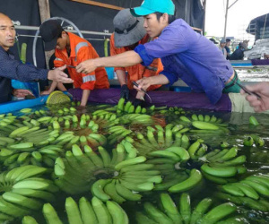 Ai đang là chủ nợ lớn nhất của Hoàng Anh Gia Lai?