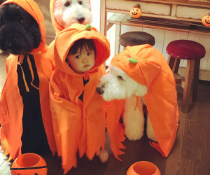 Loạt ảnh hóa trang Halloween hoành tráng nhất mạng xã hội của bé gái Nhật và những người bạn thú cưng
