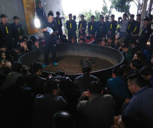 Hơn 100 cảnh sát đột kích sới gà ở Điện Biên