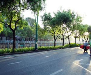Phố phường Sài Gòn tĩnh lặng đến lạ thường trong ngày đầu năm mới