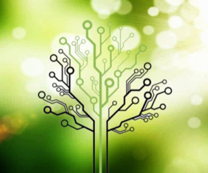 Ancestry.com rò rỉ dữ liệu trên 300.000 người dùng