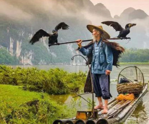 Nếu là người thông minh thực sự, họ sẽ không bao giờ phạm phải việc này!