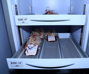 Máu nhóm O ở viện Huyết học Hà Nội chỉ đủ điều trị hai ngày nữa