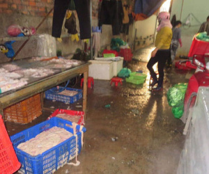 Dùng oxy già để tẩy trắng lòng heo