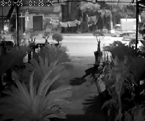 Clip gây phẫn nộ: Chặn bắt tên trộm đánh xe tải đi trộm cây cảnh, người đàn ông bị tông trúng, cán qua người trọng thương