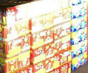 Lạng Sơn: Bắt giữ 2 người Trung Quốc chuyển pháo lậu trên biên giới