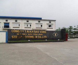 Nổ máy hấp giày, nữ phó quản đốc đứt rời bàn chân