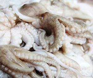 Trung Quốc ngày càng ưa chuộng thuỷ sản Việt Nam