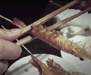 Đi ăn chỉ cần một đôi đũa là bạn có thể bóc tôm vèo vèo mà chẳng hề bẩn tay