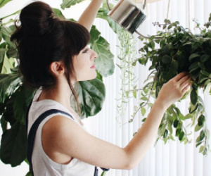 Nữ doanh nhân mất chồng vì quá mê cây cảnh