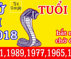 CÁT VẬN NĂM 2018 của người tuổi Tỵ sẽ thế nào?