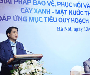 Chủ tịch Hà Nội: Nhiều người đổ nước sôi, dầu xuống cây xanh trước nhà