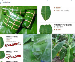 Lá chuối Việt Nam được rao bán tại Nhật giá 500.000 đồng/chiếc