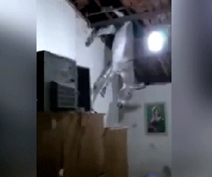 Đang ăn cơm, thấy một con lừa từ trên trời rơi xuyên mái nhà xuống đất
