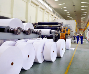 Nhiều doanh nghiệp Việt bị lừa tại Thái Lan