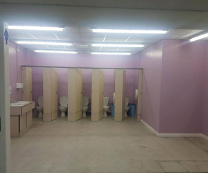 Sốc với toilet nữ 'tơ hơ' ở trường học Anh