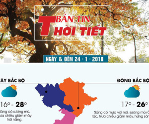 Ảnh minh họa