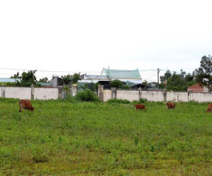 8 thanh niên xông vào bệnh viện bắt người đem đi đánh