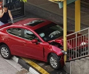 Hoảng vì gián, cụ bà mất tay lái đâm xe lên cầu