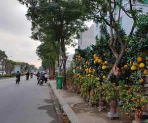Mặt bằng bán hàng Tết, giờ có tiền cũng khó thuê được