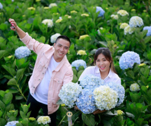 MC Hoàng Linh hạnh phúc như cô gái lần đầu biết yêu trong bộ ảnh cưới tại vườn cẩm tú cầu Đà Lạt