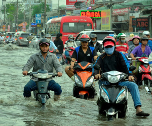 Sài Gòn vỡ đê bao, kẹt xe trong ngày triều cường đạt đỉnh