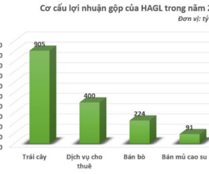 Vừa báo lãi, công ty bầu Đức đã bị phạt 60 triệu đồng