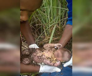 Em bé sơ sinh sống sót kỳ diệu sau 3 ngày bị mẹ chôn sống dưới đất, nghe lý do ai cũng phẫn nộ