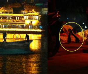 GS Lân Dũng: 'Tôi rất tiếc khi chuyển thiên nga khỏi Hồ Gươm nhưng chúng ta nên chờ'