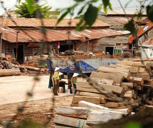 Hai cán bộ kiểm lâm ký khống hàng trăm khối gỗ bị khai trừ Đảng