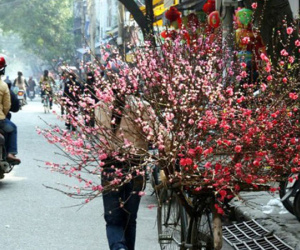 Dự báo thời tiết 7/2: Miền Bắc ấm dần, miền Nam lạnh 17 độ