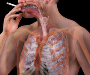 Cơ thể sẽ 'phản ứng' ra sao khi bạn dừng hút thuốc lá?