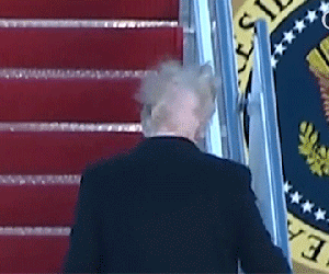 Trump lộ đầu hói khi bước lên chuyên cơ