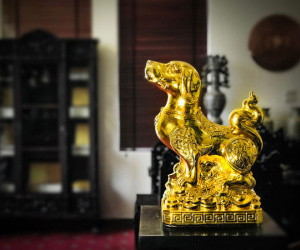 Tết Mậu Tuất, có nên cúng thịt chó để lấy may?