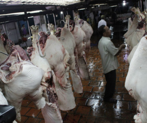 Sài Gòn 30 tết, heo mảnh chỉ còn 15.000đ/kg, quýt tiều 25.000đ/kg