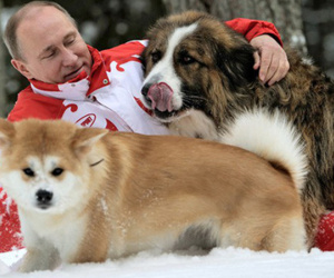 Chó cưng của Tổng thống Putin