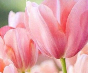 Chủ nhật của bạn (18/2): Xử Nữ chú ý cách nói năng