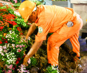 Nhiều người chờ đến khuya để xin hoa đêm bế mạc đường hoa Nguyễn Huệ